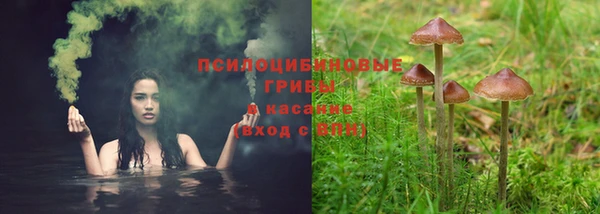 apvp Балабаново